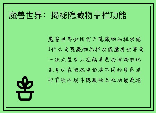 魔兽世界：揭秘隐藏物品栏功能